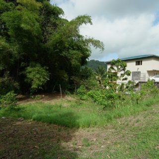 Flat Freehold Land off Cutucupano Road, Santa Cruz For Sale