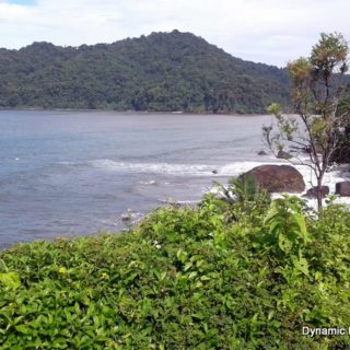 Grand Riviere Land for Sale