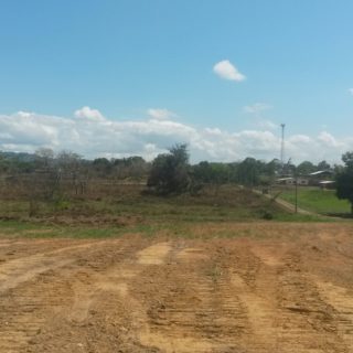 One acre homesteads in Freeport