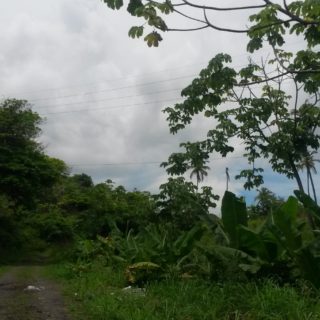 Six acres for sale in Cumana
