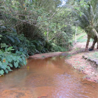 LAS CUEVAS LAND SALE