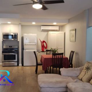 Newly Renovated Fully Furnished 2 Bedroom 1 Bath Apartment