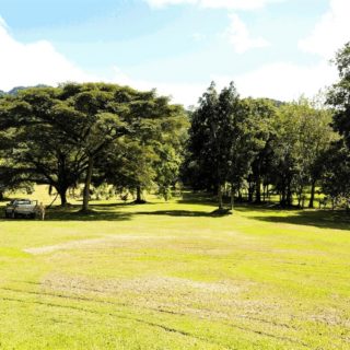 Maracas Valley Land – 4+ acres of lovely, rolling pasture freehold land with planning permission