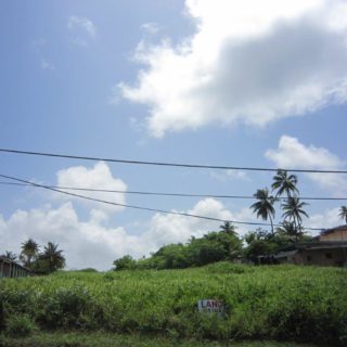 Lot 65 Mohammed Estate, Manzanilla – $250,000