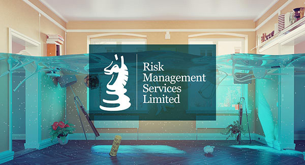 Risk Management Services