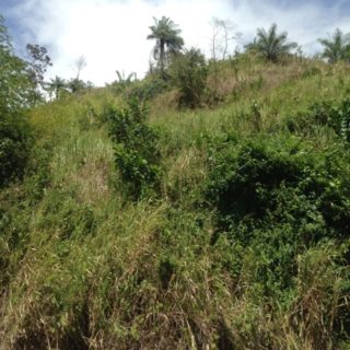 Land Only, Plaisance Heights, St. Ann’s