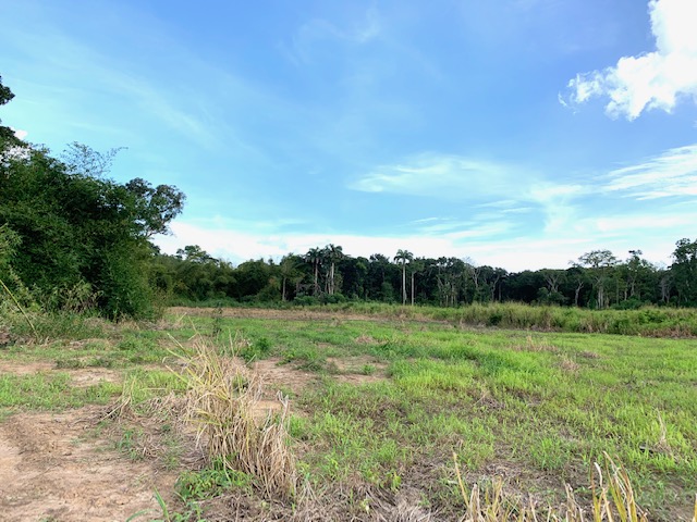 OFF SCHOOL ROAD, PALO SECO LAND for SALE!