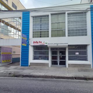 Frederick Street, Port of Spain