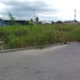 Land in Charlieville 10,000sft