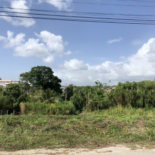 Land for Sale – Palmiste, Block 8