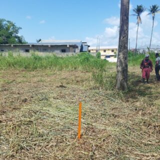 Land, Factory Road, Piarco - $575K
