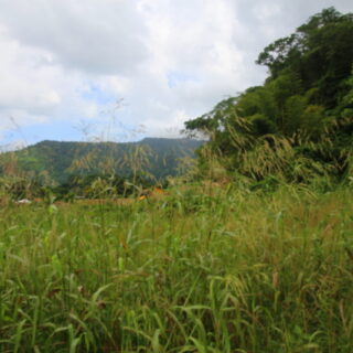 Pax Vale Santa Cruz Land For Sale
