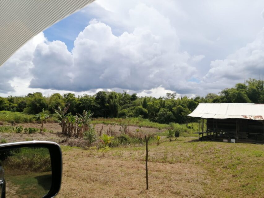 FOR SALE: 133 ACRESOF AGRICULTURE LAND AT PRINCESS TOWN