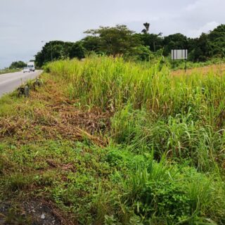 7.5 Acres- South Bound Lane of the SH Highway- Claxton Bay
