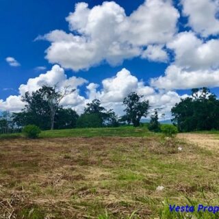 Land for sale – Las Lomas