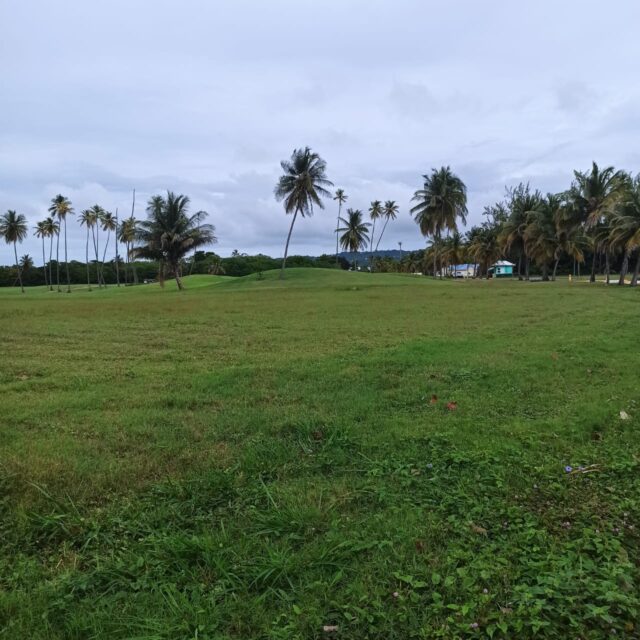 Prime land, Tobago Plantations