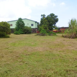 Land for Sale in Cunupia