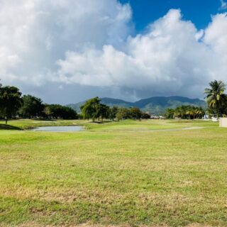Land for Sale Millennium Golf Course