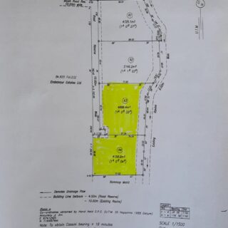 COMMERCIAL LAND FOR SALE AT ENDEAVOUR CHAGUANAS