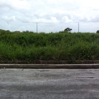 Residential Lot in new Chaguanas community