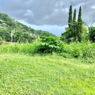 Petit Valley Land for Sale