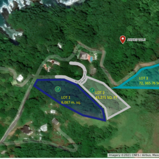 Arnos Vale Land in Tobago for Sale- Lot # 1