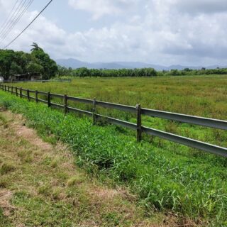 FOR SALE – O’Meara Road, Carapo – Freehold land for residential development