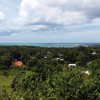 FOR SALE: Brand New Two Bedroom Condos – Mt. Pleasant, Tobago