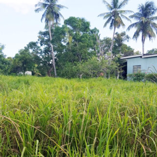 Land For Sale – Enterprise, Chaguanas – Level Freehold land – $700,000TT