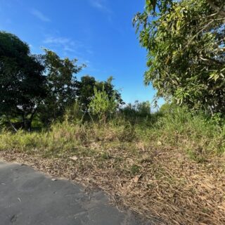 Undeveloped land for sale in Couva