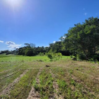 Penal Land For Sale