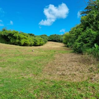 Beautiful Mayaro Land For Sale