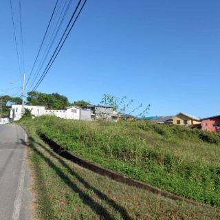 Sixth Company Road, New Grant, Princes Town, Freehold Land