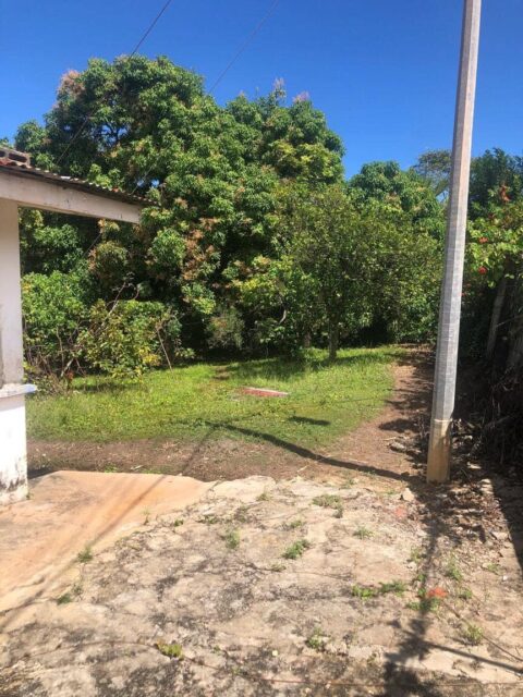 Scenic property for sale – Toco