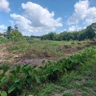 🔷Indian Trail Couva Lot for Sale – $500,000 negotiable