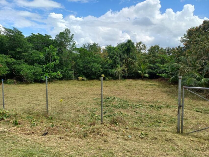 Aripero Freehold Land for Sale
