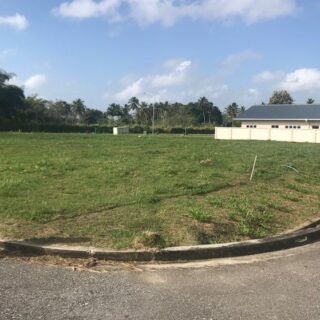 Olive Grove, McBean, Couva Land for Sale