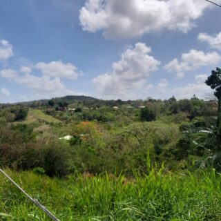 Foress Park, Claxton Bay – Land for Sale TT $2.5M
