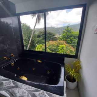 Cascade MODERN furnished 1 bedroom  with a  view  – $5000