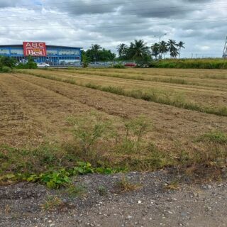 LAND FOR SALE BOUNDING ARANGUEZ OVERPASS –  1 ACRE FREEHOLD $16M