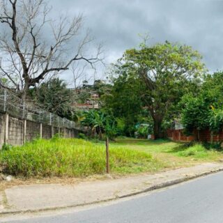 FOR SALE: Freehold Land, Belmont