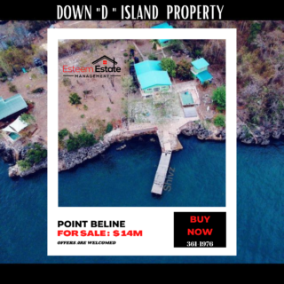Down “D” Island Investment Property