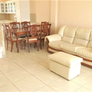 2 Bedroom 1 Bath Furnished Condo For Rent Champ Fleurs