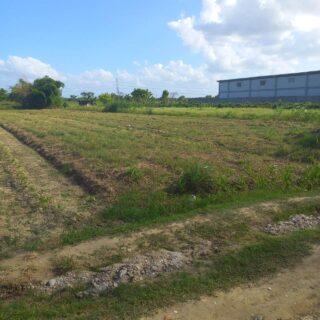 ARANGUEZ LAND FOR SALE – 21380SF FLAT LAND IN COMMERCIAL ZONE $5.5M