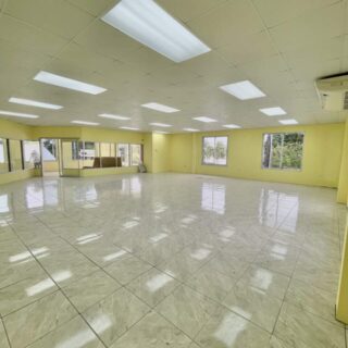 Commercial rentals available!
