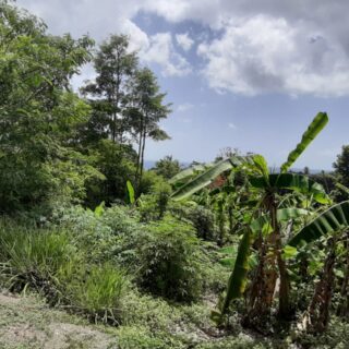 TOBAGO – MT. IRVINE RESIDENTIAL LAND FOR SALE – 26,282 SQ FT – SEA VIEW – $220,000 USD / $1,500,000 TTD ONO