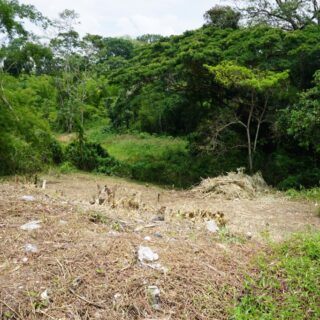 Land For Sale – Gasparillo – Freehold land in family neighbourhood