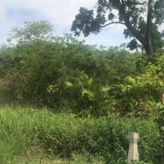 Freehold land Holder Trace, Gasparillo comprising of 8,788 sq.ft.