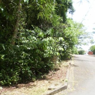 For Sale – Sandbox Ridge, Moka, Maraval – Freehold residential land – $1.8MTT