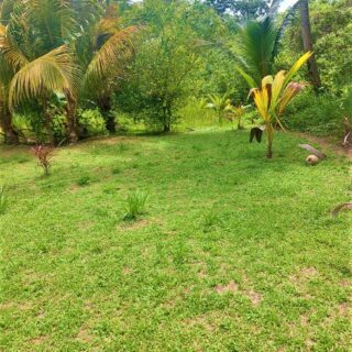 13 Acres For Sale Toco
